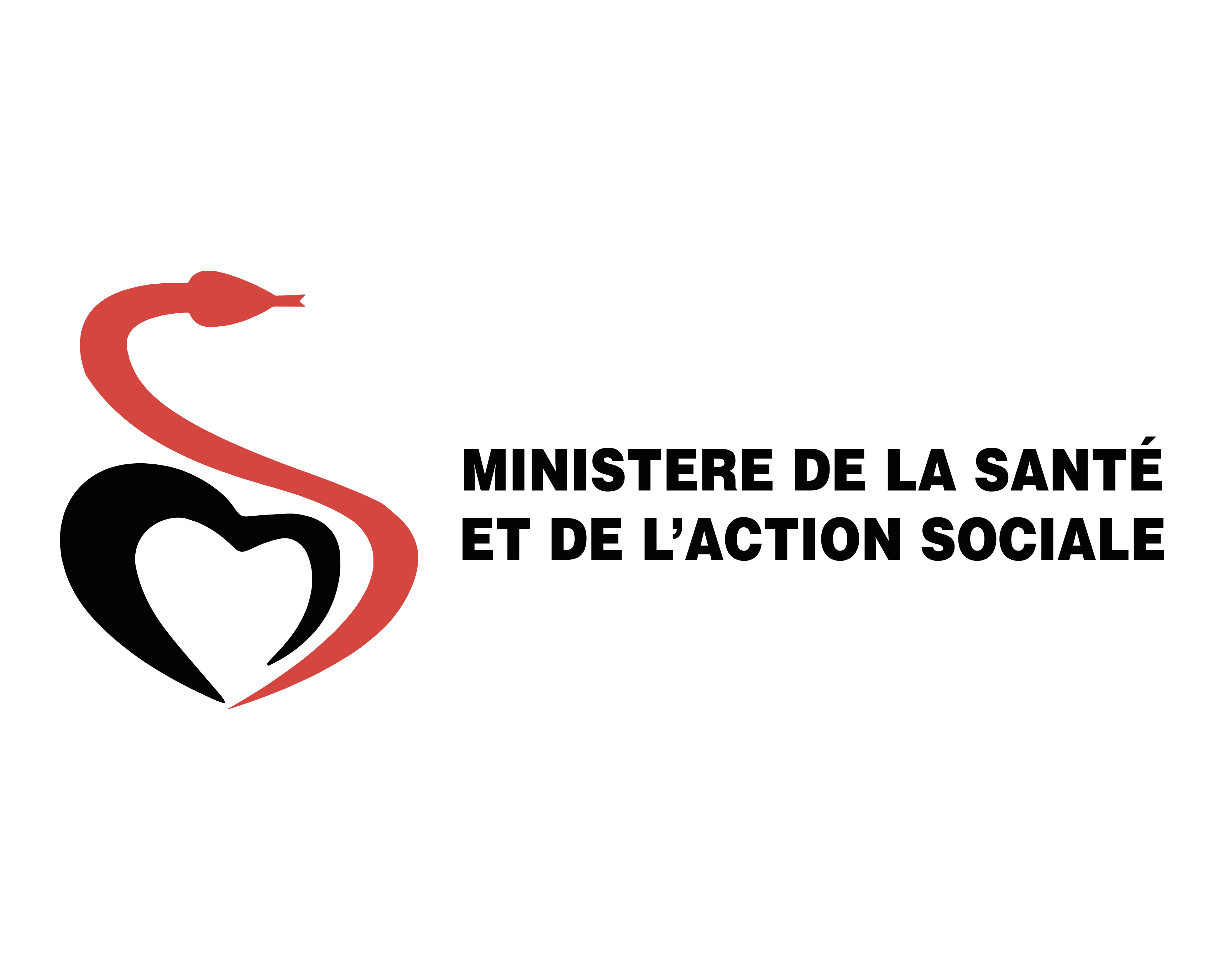 Partenaire 1